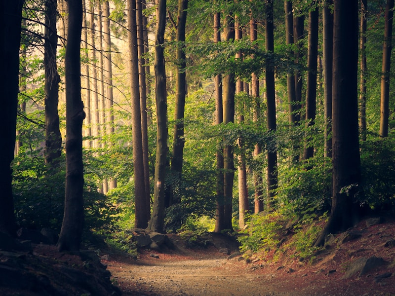 Mike Rodriguez - CTO