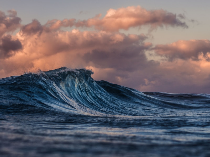 Community heroes in action